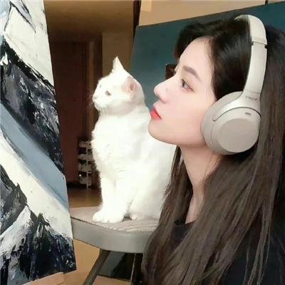 疯狂的狐狸